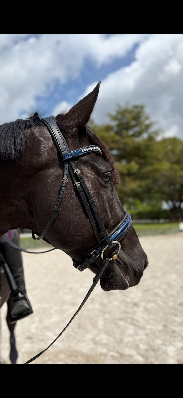 #57 Extra Padded Snaffle Bridle, BLUE Patent Leather Noseband & Crystal Browband w/ English Leather Rubber Lined Reins