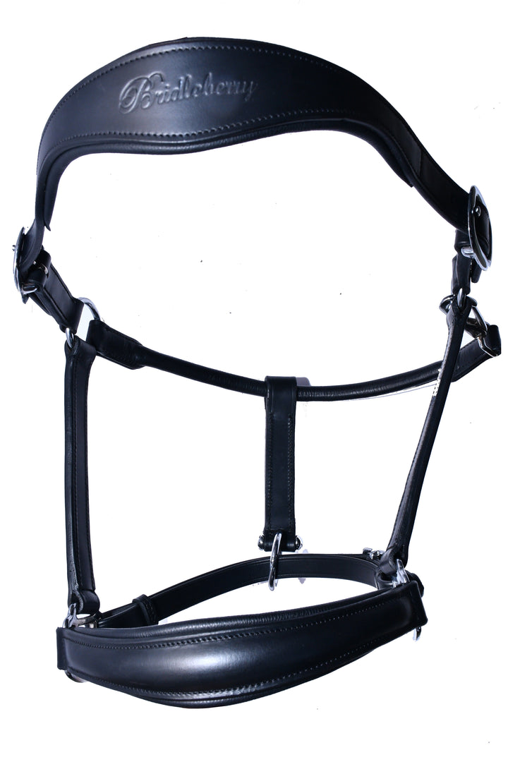 #4 Padded Leather Halter w/Adj.Nose Band,Clip Throat Latch - Bridleberry Leather Tack Co.