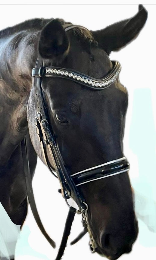 #21-Full Grain English Leather Padded Snaffle Bridle w/Patent Leather Noseband, English Leather Reins