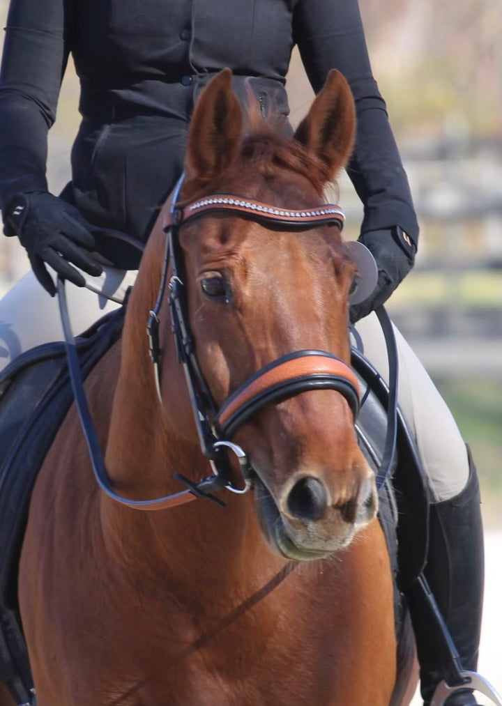 #54 Extra Padded Snaffle Bridle in Full Grain Leather, Two Tone Basket Weave Embossed Noseband w/Reins