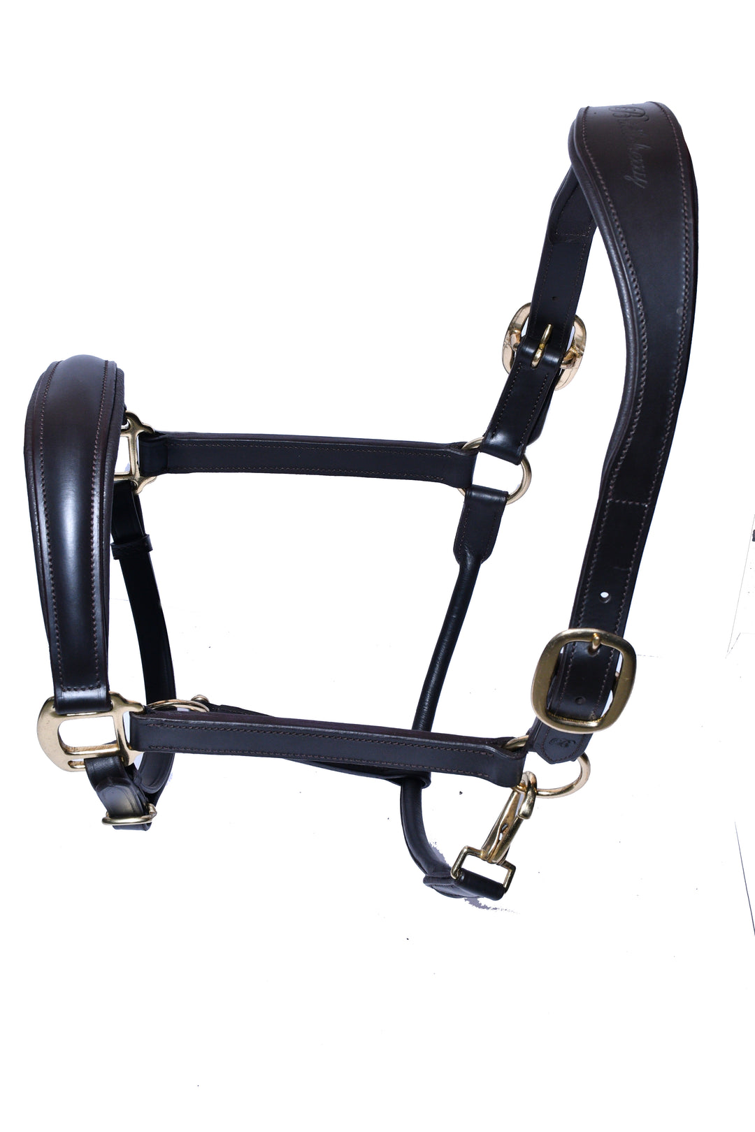 #4 Padded Leather Halter w/Adj.Nose Band,Clip Throat Latch - Bridleberry Leather Tack Co. 