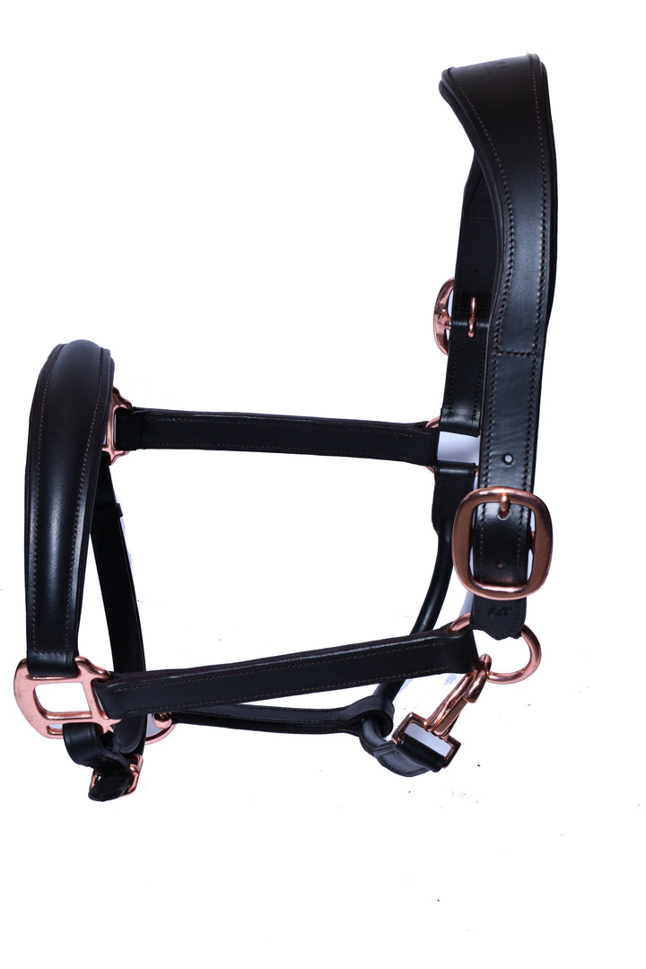 #2 Padded Leather Halter w/ Rose Gold Hardware - Bridleberry Leather Tack Co. 