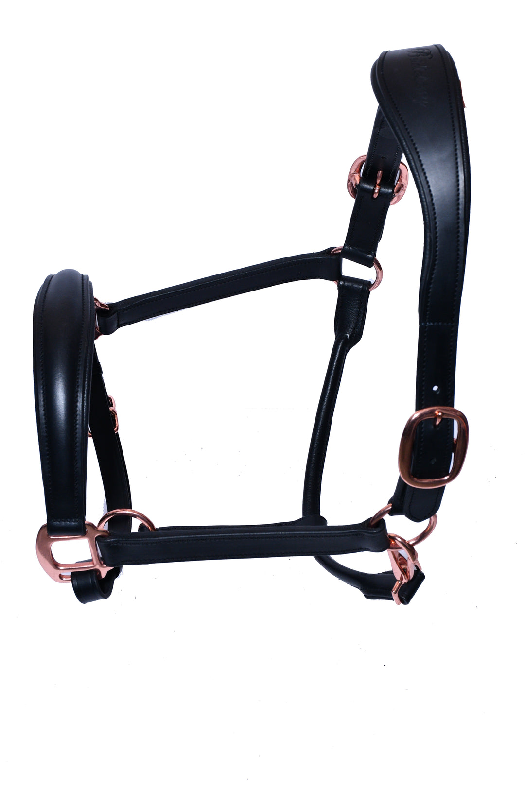 #2 Padded Leather Halter w/ Rose Gold Hardware - Bridleberry Leather Tack Co. 