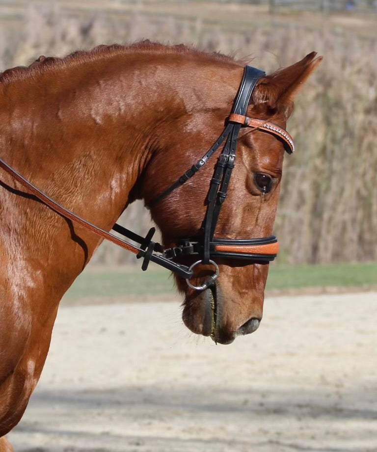 #54 Extra Padded Snaffle Bridle in Full Grain Leather, Two Tone Basket Weave Embossed Noseband w/Reins