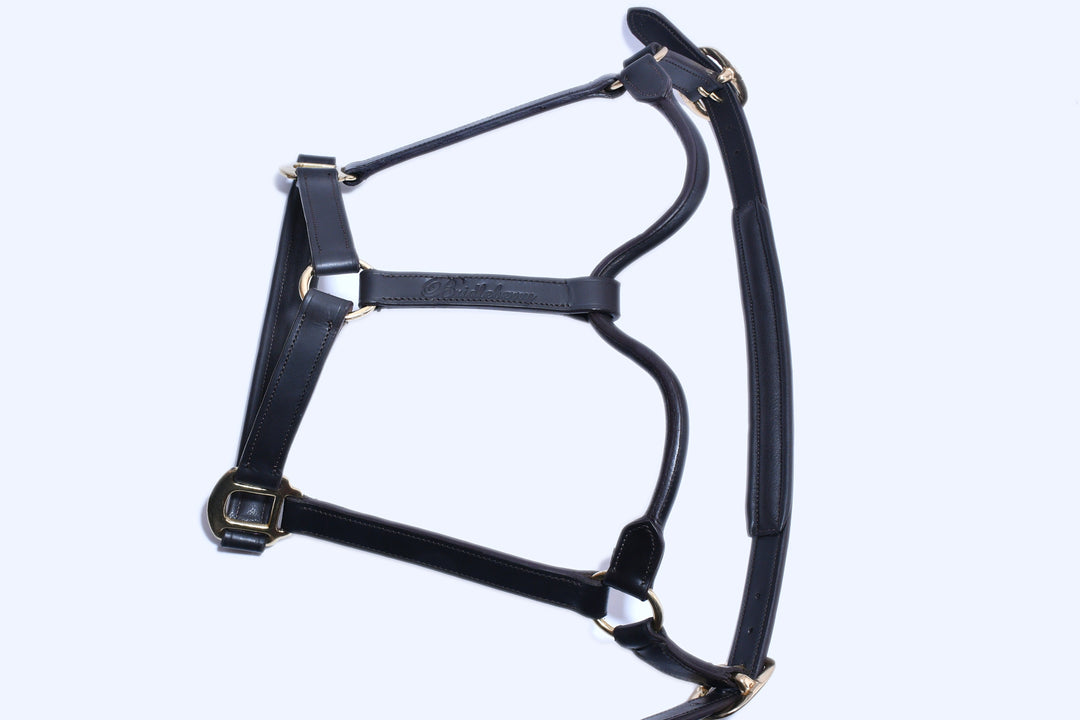 Racing Tack-Leather Padded Track Halter - Bridleberry Leather Tack Co. 