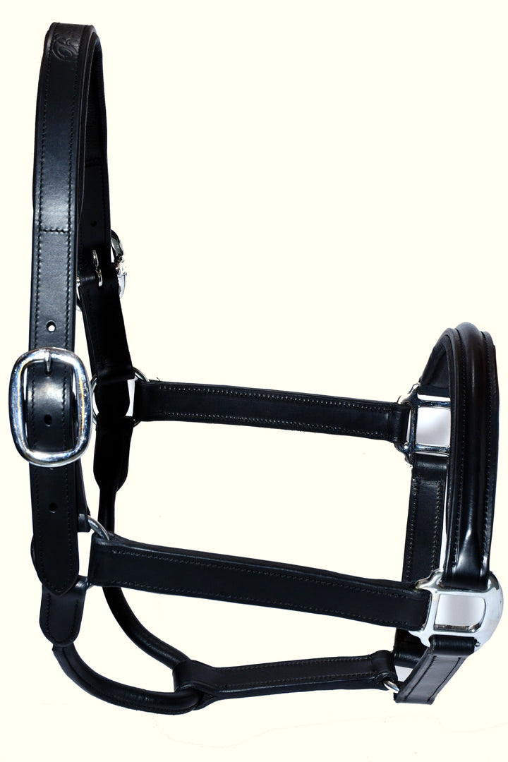 Racing Tack-Leather Padded Track Halter - Bridleberry Leather Tack Co. 