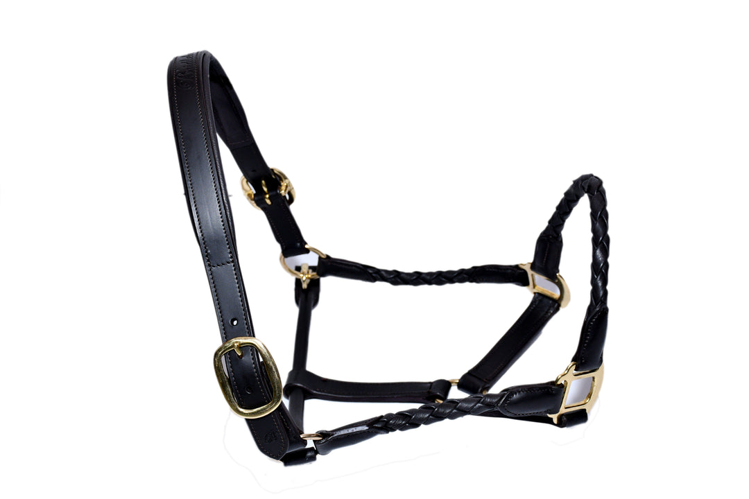 #1-Leather Halter w/ Barrel Braided Nose and cheek Design