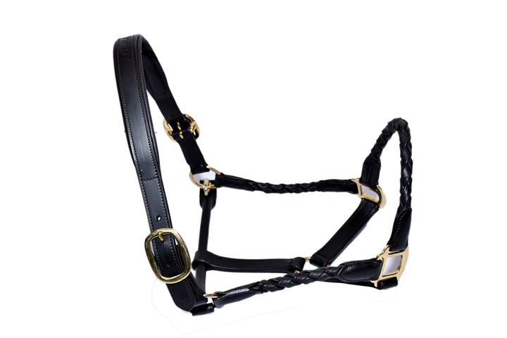 #1-Leather Halter w/ Barrel Braided Nose and cheek Design