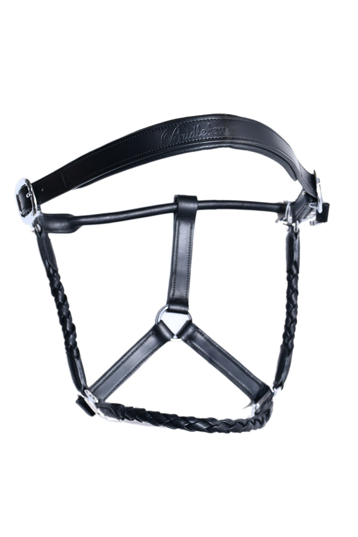 #1-Leather Halter w/ Barrel Braided Nose and cheek Design