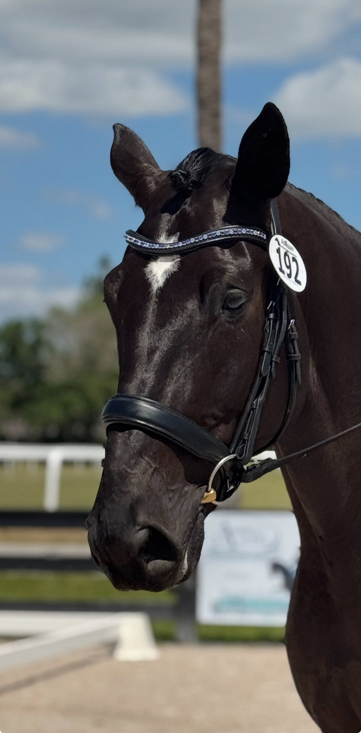 #7-Rolled Leather Bridle w/Metal Designed Browband & Anti-Slip Rubber Reins with stops