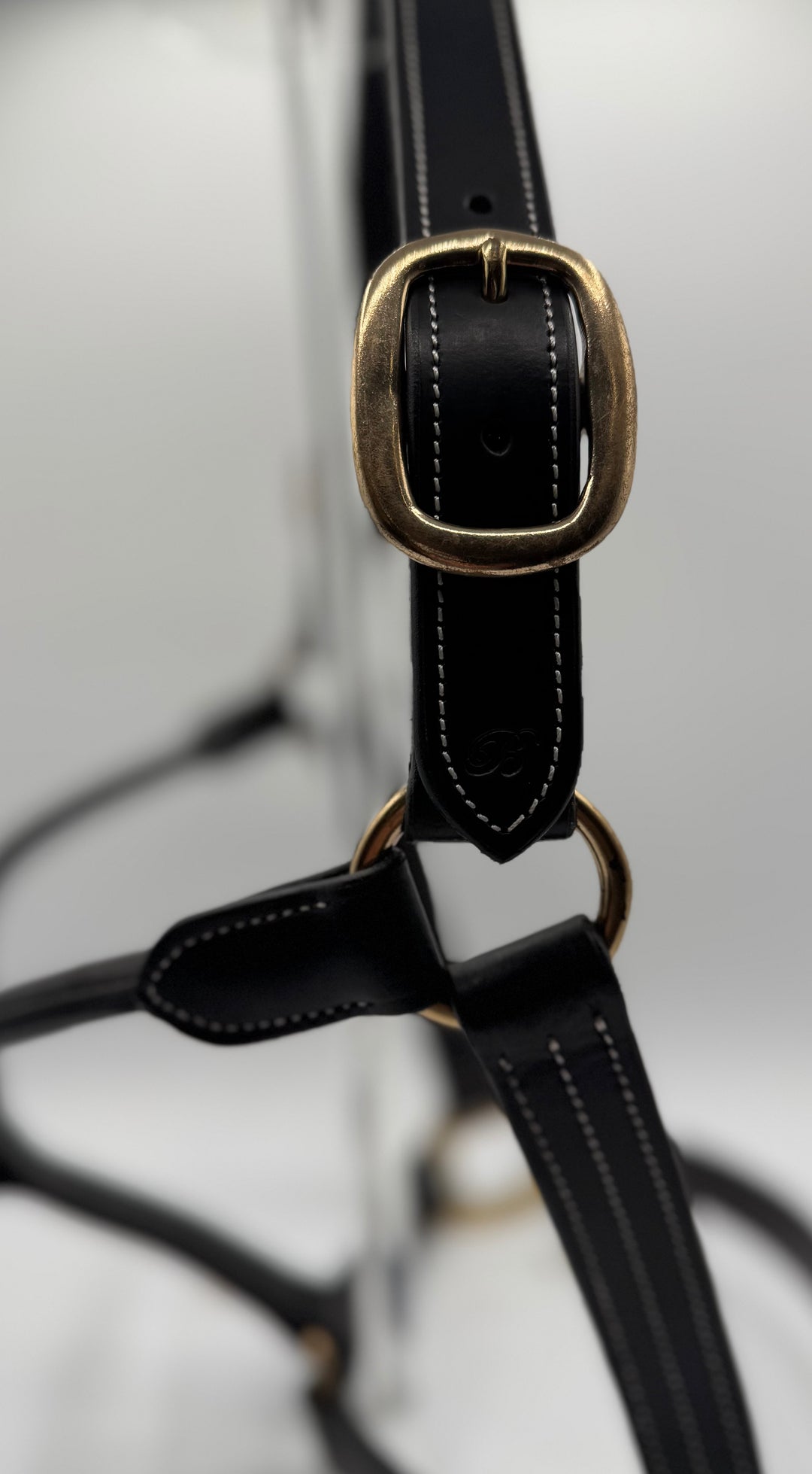 #7 Triple Stitched Leather Halter w/Brass Hardware