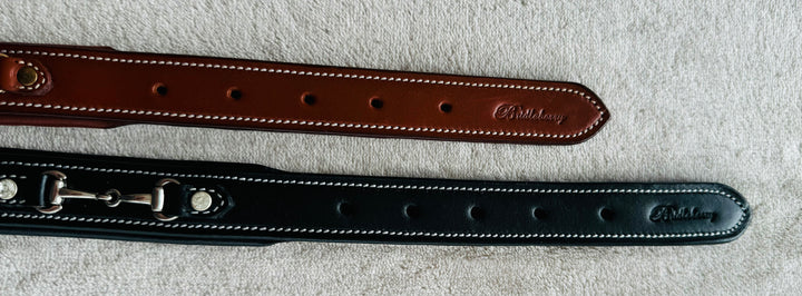 Padded Dog Collar in Full Grain Leather w/ Horse Bits