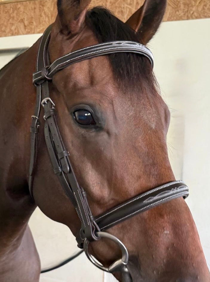 #30 Hunter Snaffle Full Grain Leather Bridle w/ White Stitched Design on Brow & Nosebands, White Stitched Laced Reins