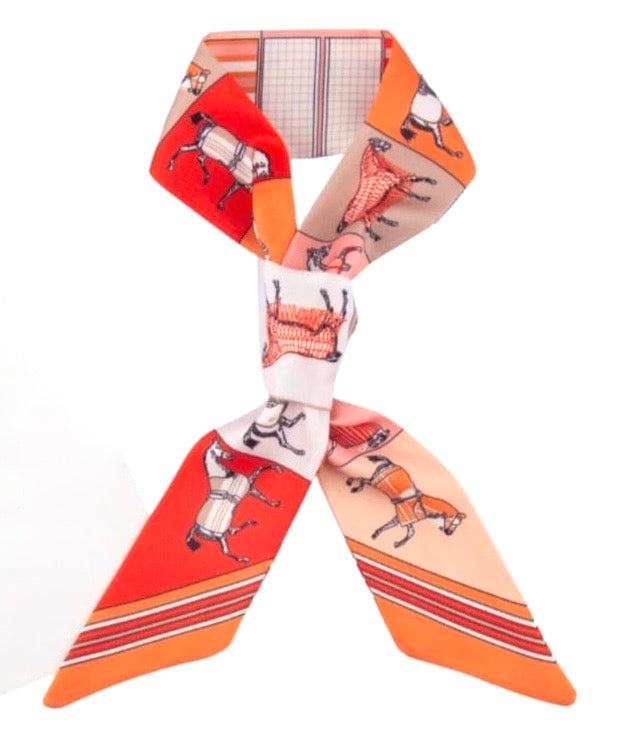 Designer Bag Scarves