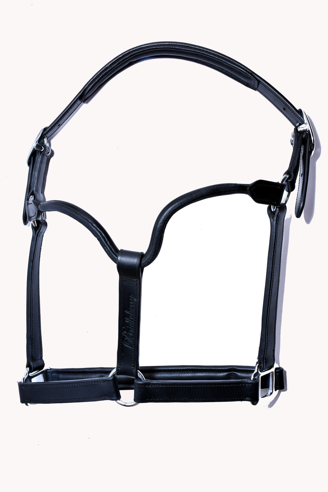 Racing Tack-Leather Padded Track Halter - Bridleberry Leather Tack Co. 